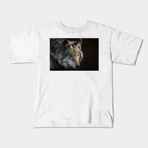 Timber Wolf Kids T-Shirt by jaydee1400